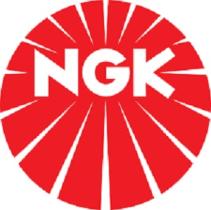   NGK BUJIAS